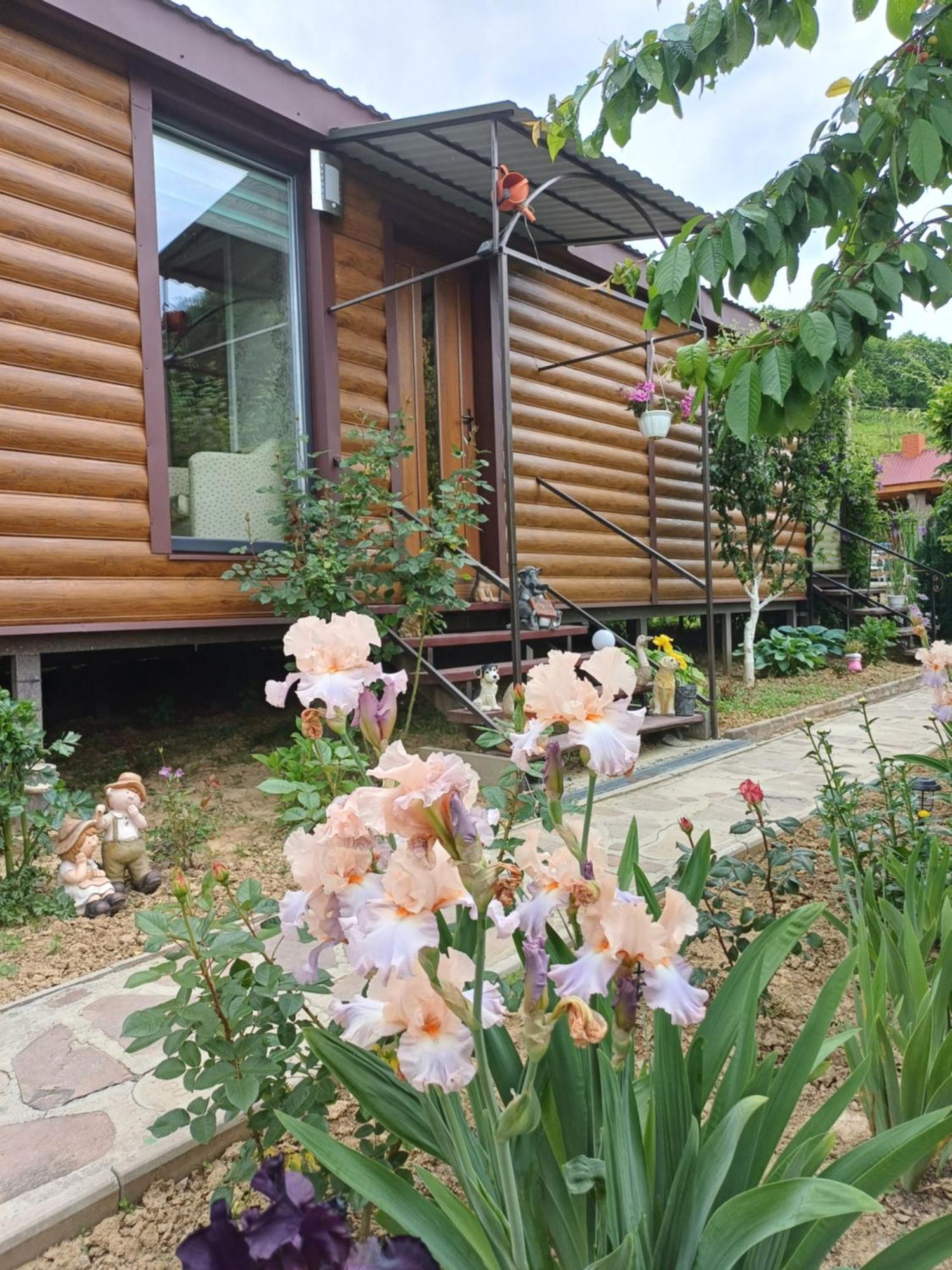У Фёдера И Маргариты Nizhnya Hrabivnytsia Luaran gambar
